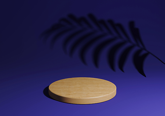 포토 JPG 해외이미지 그림자 사람없음 목재 파란색 3D 원형 심플 단상 해외포토 도형 나무 컬러 재료 디지털합성 파일형식 이미지허브