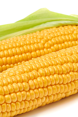 포토 JPG 해외이미지 식물 음식 백그라운드 잎 농업 다이어트 채소 재료 자연 건강 옥수수 사람없음 초록색 농장 노란색 젖음 수확 껍질 신선 황금 달콤 맛 낟알 오브젝트 흰배경 유기농 알맹이 날것 내추럴 숙성 채식주의자 맛있는 해외포토 웰빙 산업 컬러 컨셉 곡류 흰색 생태계 채식 파일형식 이미지허브