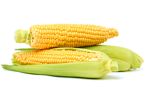 포토 JPG 해외이미지 식물 음식 백그라운드 잎 농업 다이어트 채소 재료 자연 건강 옥수수 사람없음 초록색 농장 노란색 젖음 수확 껍질 신선 황금 달콤 맛 낟알 오브젝트 흰배경 유기농 알맹이 날것 내추럴 숙성 채식주의자 맛있는 해외포토 웰빙 산업 컬러 컨셉 곡류 흰색 생태계 채식 파일형식 이미지허브