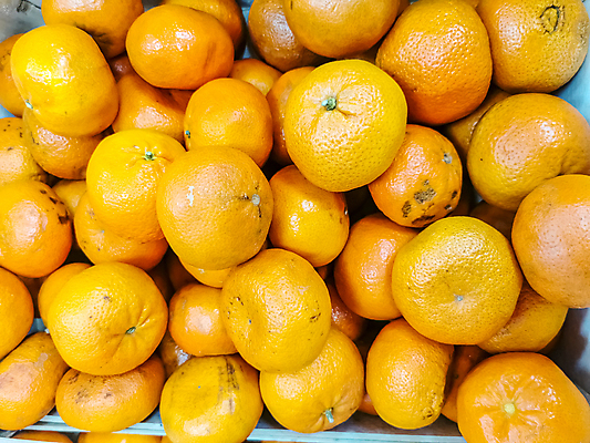 포토 JPG 해외이미지 음식 백그라운드 패턴 농업 다이어트 채소 오렌지 과일 재료 자연 귤 건강 사람없음 빨간색 초록색 농장 노란색 세일 쌓기 상점 주스 수확 신선 원형 그룹 시장 달콤 맛 계산대 유기농 진열장 질감 날것 슈퍼마켓 숙성 이국적 채식주의자 많음 맛있는 해외포토 도형 웰빙 산업 음료 컬러 컨셉 무늬 모션 생태계 채식 파일형식 이미지허브