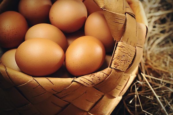 포토 JPG 해외이미지 실내 사람없음 아웃포커스 바구니 계란 가득함 담기 해외포토 모션 촬영기법 내부 알 파일형식 이미지허브