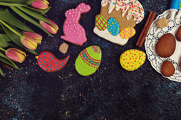 포토 JPG 해외이미지 꽃 잎 사람없음 장식 화려 부활절계란 새모양 시나몬 토끼모양 진저쿠키 스프링클 해외포토 모양 식물 컨셉 부활절 쿠키 계란 파일형식 이미지허브