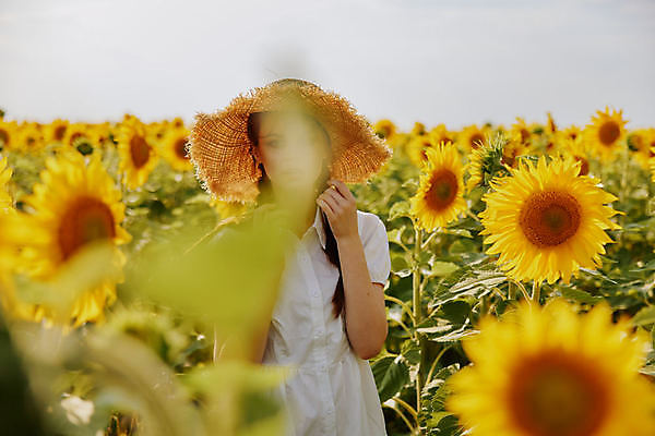 포토 JPG 해외이미지 주간 여자 꽃밭 해바라기 한명 풍경 상반신 성인 야외 앞모습 여름 소프트포커스 밀짚모자 성인여자한명만 해외포토 자연요소 모자_잡화 1 계절 꽃 뷰포인트 촬영기법 사람 여자한명만 성인여자만 파일형식 이미지허브