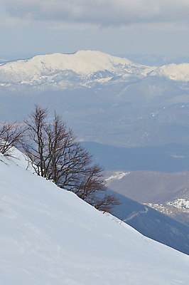 포토 JPG 해외이미지 주간 나무 겨울 사람없음 야외 눈 겨울풍경 설산 눈덮임 해외포토 자연요소 식물 계절 컨셉 날씨 산 풍경 파일형식 이미지허브