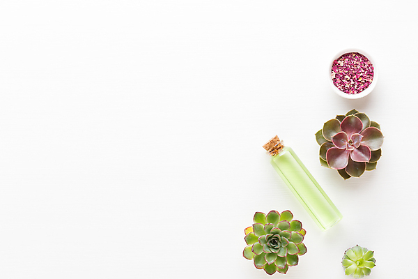 포토 JPG 해외이미지 식물 꽃 바다 꽃다발 백그라운드 컨셉 잎 자연 건강 사람없음 목재 뷰티 노란색 우주 스파 봄 화장품 신선 마사지 난초 플랫 정상 에코 유기농 데이지 아로마 위치 아로마테라피 테라피 내추럴 돌봄 바이오 파스텔톤 해외포토 나무 웰빙 계절 컬러 재료 모션 환경 생태계 파일형식 이미지허브