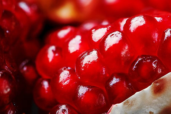 포토 JPG 해외이미지 근접촬영 사람없음 아웃포커스 석류 석류알 해외포토 뷰포인트 과일 촬영기법 파일형식 이미지허브