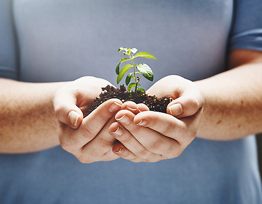 포토 JPG 해외이미지 손 남자 잎 한명 들기 상반신 성인 앞모습 신체부위 흙 에코 친환경 성인남자한명만 해외포토 식물 1 뷰포인트 모션 사람 환경 남자한명만 성인남자만 파일형식 이미지허브
