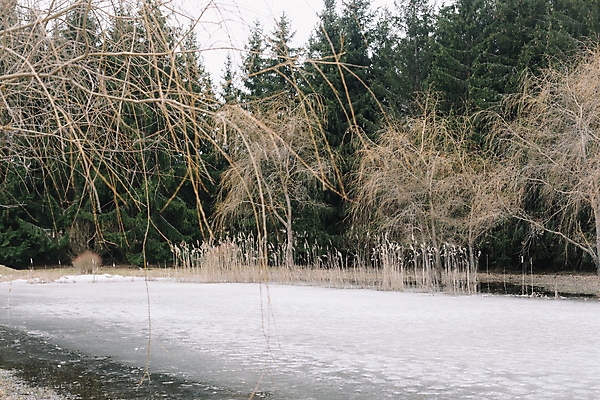 포토 JPG 해외이미지 나무 계절 호수 파도 바다 섬 여행 백그라운드 패턴 자연 벽지 하늘 표면 날씨 추상 휴가 휴식 사람없음 야외 목재 물 강 반사 환경 항구 어둠 봄 낭만 휴양지 질감 서리 장면 내추럴 수평선 해외포토 자연요소 식물 컨셉 무늬 재료 교통시설 장소 생태계 파일형식 이미지허브