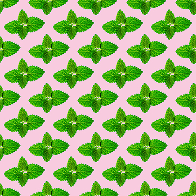 포토 JPG 해외이미지 분홍색 패턴 사람없음 민트 해외포토 컬러 무늬 허브 파일형식 이미지허브