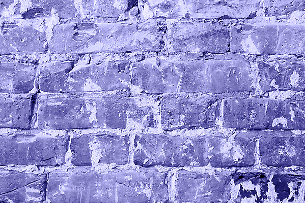 포토 JPG 해외이미지 템플릿 디자인 배너 외관 벽 백그라운드 컨셉 패턴 벽지 추상 벽돌 돌담 사람없음 내부 장식 가로 유행 보라색 페인트 수확 연도 제비꽃 질감 복고 그런지 옛날 카피스페이스 미니멀 해외포토 꽃 컬러 무늬 농업 담장 공백 돌_바위 파일형식 이미지허브