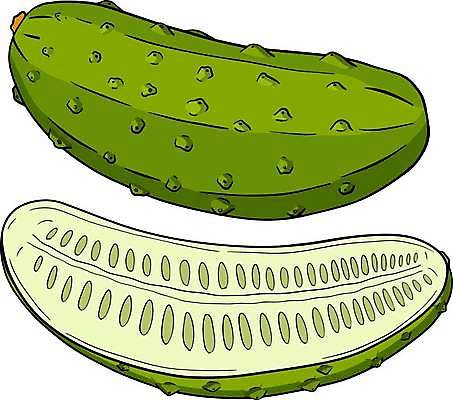 EPS 해외이미지 모양 손 디자인 선 조각 백그라운드 농업 다이어트 채소 일러스트 재료 자연 오이 흑백 건강 미술 그래픽 장식 세트 농장 신선 시장 낙서 상품 스케치 수집 먹기 심볼 메뉴 그림 내추럴 엘리먼트 스타일 개조 해외일러스트 산업 모션 문화예술 촬영기법 신체부위 생태계 파일형식 벡터 이미지허브