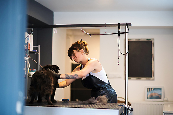 포토 JPG 해외이미지 한마리 응시 여자 반려견 실내 한명 상반신 성인 옆모습 아웃포커스 귀여움 강아지 애견미용 애견미용사 성인여자한명만 해외포토 1 시선 뷰포인트 컨셉 촬영기법 사람 내부 반려동물 뷰티 개 미용사 여자한명만 성인여자만 파일형식 이미지허브