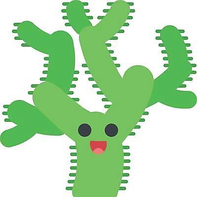 EPS 해외이미지 캐릭터 일러스트 선인장 표정 사람없음 초록색 해외일러스트 일러캐릭터 식물 컬러 파일형식 벡터 이미지허브