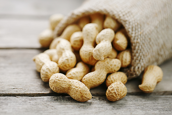 포토 JPG 해외이미지 실내 사람없음 견과류 유기농 땅콩 자루 쏟아짐 나무탁자 땅콩껍질 해외포토 웰빙 모션 탁자 내부 껍질 파일형식 이미지허브