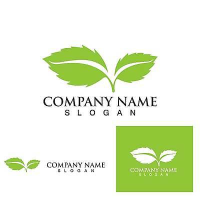 EPS 해외이미지 디자인 잎 일러스트 사람없음 초록색 심볼 에코 유기농 엘리먼트 해외일러스트 식물 웰빙 컬러 환경 파일형식 벡터 이미지허브