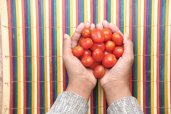 포토 JPG 해외이미지 음식 토마토 과일 탁자 건강 사람없음 빨간색 신선 체리 닫기 유기농 날것 숙성 플랫레이 해외포토 웰빙 컬러 가구 채소 모션 플랫 파일형식 이미지허브