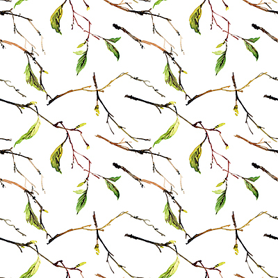 포토 JPG 해외이미지 나무 식물 디자인 백그라운드 잎 패턴 자연 벽지 미술 사람없음 장식 정원 페인트 흰색 화려 숲 인쇄 그림 유기농 손그림 내추럴 미니멀리스트 해외포토 웰빙 컬러 컨셉 무늬 문화예술 생태계 파일형식 이미지허브