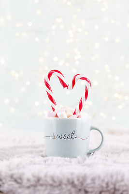 포토 JPG 해외이미지 크리스마스 크리스마스용품 실내 사람없음 아웃포커스 하트 소프트포커스 코코아 지팡이사탕 해외포토 모양 기념일 음료 촬영기법 사탕 내부 용품 파일형식 이미지허브