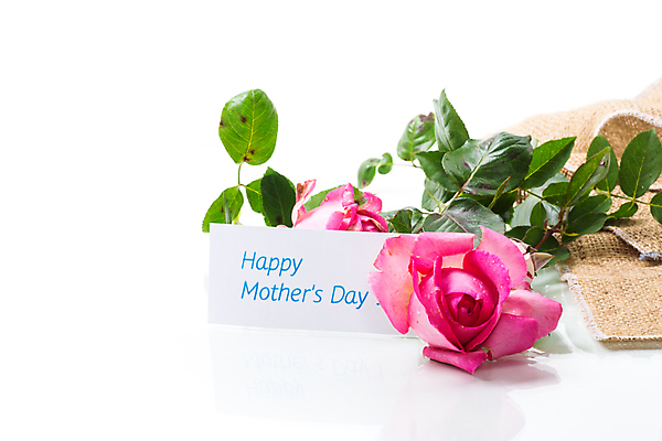 포토 JPG 해외이미지 식물 디자인 배너 꽃잎 꽃 분홍색 꽃다발 백그라운드 꽃무늬 패턴 텍스트 자연 탁자 휴가 프레임 발렌타인데이 선물 사랑 사람없음 책 빨간색 여름 뷰티 장미 파티 봄 낭만 수확 벚꽃 흰색 시골 축하 인사 신선 신용카드 생일 개화 다발 엽서 내추럴 고립 스타일 국경 해외포토 계절 기념일 감정 컬러 가구 컨셉 무늬 농업 데이이벤트 이벤트 금융 예절 편지 생태계 파일형식 이미지허브