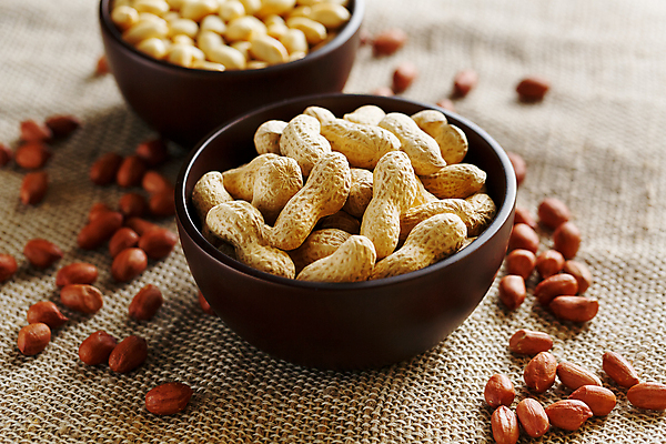 포토 JPG 해외이미지 그릇 실내 사람없음 견과류 유기농 담기 땅콩 땅콩껍질 해외포토 식기 웰빙 모션 내부 껍질 파일형식 이미지허브