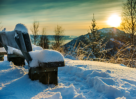 포토 JPG 해외이미지 나무 구름 계절 바다 여행 겨울 오렌지 자연 하늘 아침 노르웨이 사람없음 야외 가로 파란색 하이앵글 도시풍경 햇빛 태양 일출 항구 일몰 추위 흰색 도시 바늘 역 숲 흐림 조감도 내려보기 해외포토 주간 자연요소 식물 유럽 뷰포인트 컬러 과일 교통시설 모션 날씨 풍경 노을 도구 생태계 파일형식 이미지허브