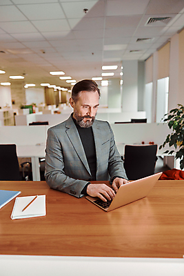 포토 JPG 해외이미지 백인 직업 1 라이프스타일 응시 남자 행복 백그라운드 비즈니스 CEO 사업가 성공 넥타이 노동자 수염 아이디어 실내 한명 미소 사람 정장 성인 노트북 사무실 흰색 업무 작업 비즈니스맨 자신감 책상 경영자 문서 경영 해외포토 서양인 시선 잡화 옷 감정 컬러 가구 컨셉 표정 내부 생활 전자제품 직장인 리더 파일형식 이미지허브