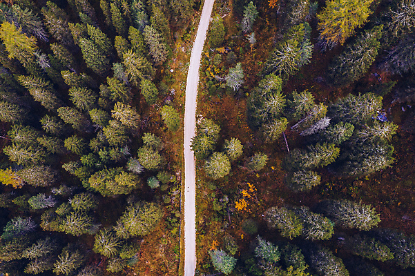 포토 JPG 해외이미지 나무 공원 길 여행 백그라운드 자연 사람없음 야외 시골 숲 내추럴 항공촬영 조감도 해외포토 식물 공공시설 뷰포인트 생태계 파일형식 이미지허브