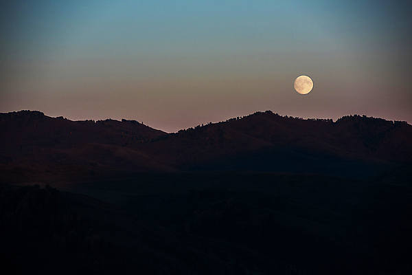포토 JPG 해외이미지 자연 하늘 파노라마 사람없음 야외 달 야간 러시아 시베리아 몽환 해외포토 자연요소 유럽 컨셉 촬영기법 생태계 파일형식 이미지허브