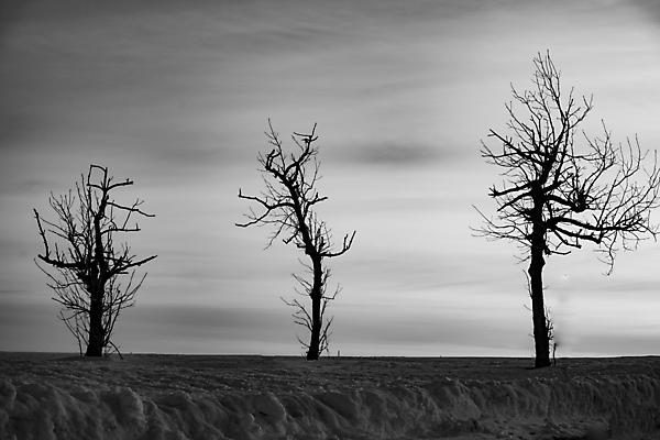 포토 JPG 해외이미지 나무 실루엣 기독교 종교 여행 십자가 겨울 하늘 부활절 산 독일 3 사람없음 야외 농장 고요 봄 회색 추위 안개 시골 예수 분위기 정상 큼 심볼 언덕 장면 천국 생태학 여신 혼자 해외포토 식물 계절 교육 기념일 유럽 컬러 컨셉 농업 날씨 촬영기법 신_종교 크기 파일형식 이미지허브