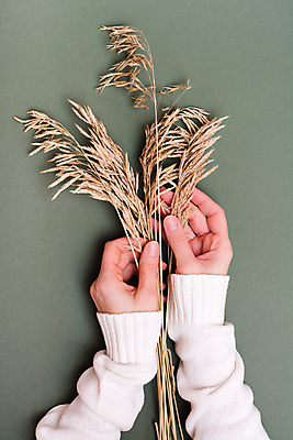 포토 JPG 해외이미지 식물 손 여자 백그라운드 손가락 자연 건조 건강 관리 초원 사람없음 치료 장식 초록색 여름 뷰티 가을 못 우아함 손톱관리 피부 순수 유기농 느림 유지 내추럴 돌봄 위생관리 파스텔톤 스타일 해외포토 웰빙 계절 컬러 컨셉 의학 모션 사람 신체부위 공구 네일아트 생태계 파일형식 이미지허브