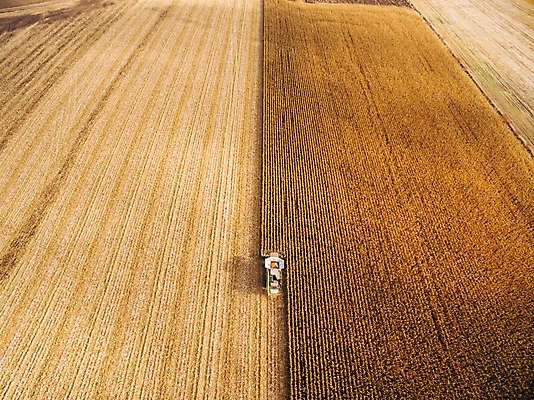 포토 JPG 해외이미지 식물 계절 산업 음식 밭 농업 자연 안테나 옥수수 씨앗 사람없음 빨간색 농장 농경지 갈색 기계 흙 봄 운전 수확 시골 업무 작업 바퀴 칼날 농부 땅 준비 트랙터 드론 땅바닥 밭일 심기 쟁기 조감도 해외포토 직업 컬러 통신 모션 곡류 바닥 농기계 생태계 특수차량 파일형식 이미지허브