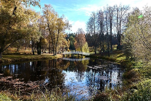 포토 JPG 해외이미지 공원 도로 길 호수 여행 자연 휴식 잔디 사람없음 야외 목재 장식 가로 초록색 물 강 컬러풀 평화 정원 침묵 봄 고가도로 숲 작음 그늘 오솔길 명상 엽서 장면 목각 구름다리 땅바닥 해외포토 자연요소 나무 식물 계절 공공시설 컬러 컨셉 재료 교통시설 바닥 소리 다리_건축물 고속도로 크기 편지 생태계 파일형식 이미지허브