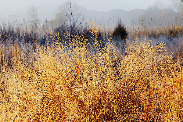 포토 JPG 해외이미지 백그라운드 사람없음 야외 아웃포커스 해외포토 촬영기법 파일형식 이미지허브