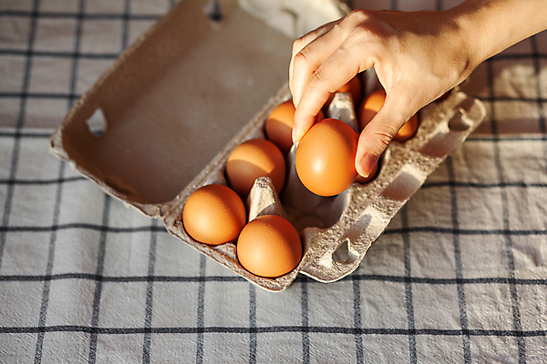 포토 JPG 해외이미지 손 실내 들기 신체부위 계란 식탁보 계란판 해외포토 모션 사람 내부 알 파일형식 이미지허브
