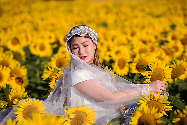 포토 JPG 해외이미지 주간 여자 신부 웨딩드레스 꽃밭 해바라기 면사포 한명 동양인 상반신 성인 야외 옆모습 아웃포커스 눈감음 잡기 성인여자한명만 해외포토 자연요소 1 드레스 꽃 뷰포인트 결혼 모션 촬영기법 사람 인종 결혼소품 여자한명만 성인여자만 파일형식 이미지허브