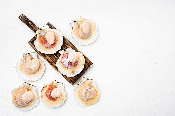 포토 JPG 해외이미지 조개 실내 사람없음 하이앵글 신선 흰배경 날것 가리비 나무도마 카피스페이스 해외포토 뷰포인트 백그라운드 어패류 도마 내부 목재 공백 흰색 파일형식 이미지허브