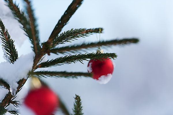 포토 JPG 해외이미지 주간 크리스마스장식 겨울 매달리기 사람없음 야외 아웃포커스 눈 소프트포커스 걸림 오너먼트 해외포토 자연요소 계절 크리스마스 모션 날씨 촬영기법 파일형식 이미지허브