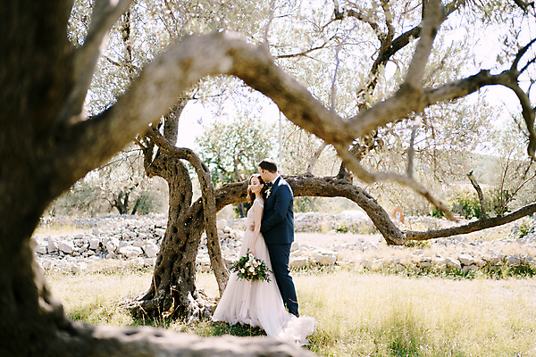 포토 JPG 해외이미지 주간 전신 나무 커플 여자 남자 결혼 서기 성인 야외 두명 옆모습 다정 소프트포커스 신랑신부 성인만 웨딩촬영 해외포토 자연요소 식물 신부_웨딩 뷰포인트 신랑 컨셉 관계 모션 촬영기법 사람 이벤트 기념사진 파일형식 이미지허브