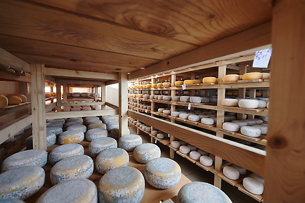 포토 JPG 해외이미지 공장 치즈 선반 사람없음 쌓기 제조 저장 유기농 발효 수납 곰팡이 숙성 저장소 전통방식 많음 해외포토 전통 웰빙 가구 컨셉 공업 모션 유제품 파일형식 이미지허브