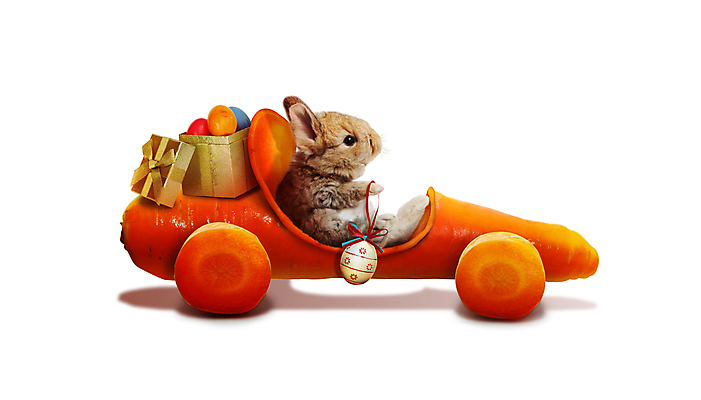 포토 JPG 해외이미지 동물 전통 계절 꽃 행복 어린이 백그라운드 밭 자연 휴가 기념 털 앉기 사람없음 장식 초록색 반려동물 농장 바구니 축제 봄 축하 토끼 인사 그리기 달콤 설치류 4월 모피 부활절계란 귀 솜털 해외포토 식물 감정 컬러 컨셉 농업 포유류 모션 부활절 사람 신체부위 계란 예절 날짜 맛 생태계 파일형식 이미지허브