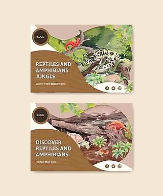 EPS 해외이미지 야생동물 일러스트 동물원 사람없음 갈색 나뭇가지 거북이 도마뱀 기어가기 해외일러스트 나무 동물 컬러 파충류 모션 파일형식 벡터 이미지허브