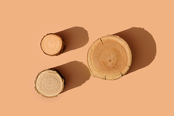 포토 JPG 해외이미지 템플릿 접시 음식 컨셉 도마 쟁반 3 사람없음 목재 장식 빛 하이앵글 햇빛 갈색 노란색 화장품 판넬 원형 발표 상품 정상 갑판 향수 책상 오브젝트 레이아웃 단상 내추럴 목판화 지휘대 핸드메이드 목업 해외포토 도형 나무 식기 뷰포인트 컬러 가구 배_교통 재료 주방용품 태양 뷰티 파일형식 이미지허브