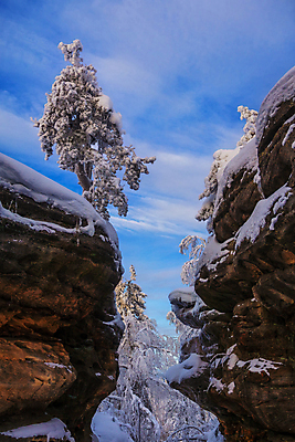포토 JPG 해외이미지 나무 계절 공원 여행 겨울 오렌지 자연 하늘 아침 산 파노라마 사람없음 야외 파란색 햇빛 태양 일출 보라색 냉동 얼음 일몰 새벽 하이킹 추위 흰색 숲 서리 러시아 제설기 특별함 눈내림 해외포토 주간 자연요소 식물 공공시설 유럽 컬러 컨셉 과일 레저 눈_날씨 촬영기법 노을 생태계 제설 파일형식 이미지허브