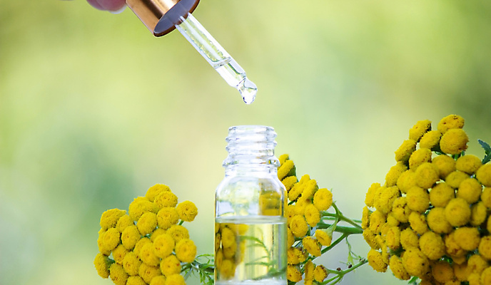 포토 JPG 해외이미지 식물 계절 꽃 백그라운드 꽃무늬 농업 자연 건강 사람없음 초록색 컬러풀 태양 뷰티 약 노란색 정원 맑음 활발 벚꽃 개화 약초 허브 테라피 내추럴 해외포토 자연요소 산업 컬러 컨셉 무늬 의학 날씨 풀_식물 생태계 파일형식 이미지허브