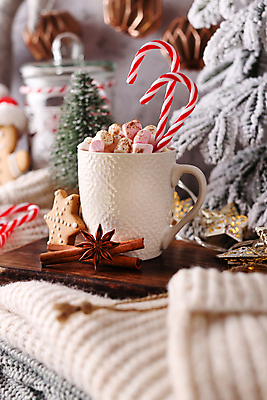 포토 JPG 해외이미지 크리스마스 크리스마스용품 실내 사람없음 아웃포커스 쿠키 소프트포커스 코코아 지팡이사탕 팔각회향 해외포토 기념일 음료 디저트 촬영기법 사탕 내부 향신료 용품 파일형식 이미지허브