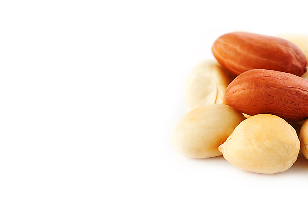 포토 JPG 해외이미지 실내 근접촬영 사람없음 견과류 흰배경 땅콩 땅콩껍질 해외포토 뷰포인트 백그라운드 내부 껍질 흰색 파일형식 이미지허브