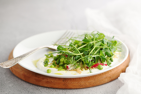 포토 JPG 해외이미지 접시 포크 사람없음 샐러드 흰배경 건강식 저칼로리 해외포토 식기 음식 백그라운드 흰색 파일형식 이미지허브