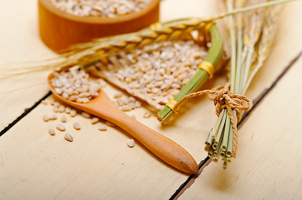 포토 JPG 해외이미지 근접촬영 사람없음 농작물 낟알 보리 보리이삭 해외포토 뷰포인트 농업 곡류 이삭 파일형식 이미지허브