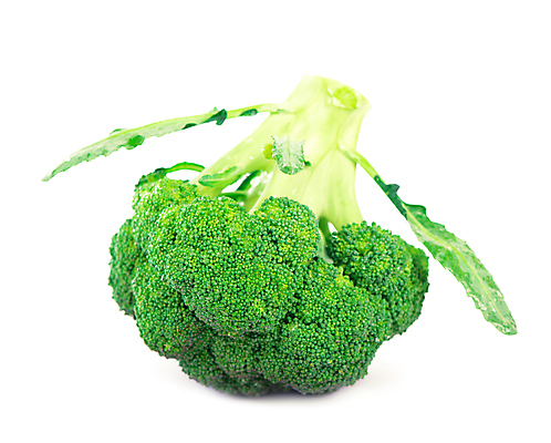 포토 JPG 해외이미지 채소 사람없음 초록색 브로콜리 해외포토 컬러 파일형식 이미지허브