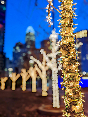 포토 JPG 해외이미지 응시 크리스마스 건축양식 휴가 전등 새로움 기념 사람없음 건물 미국 도심 야간 저녁 박물관 북쪽 스카이라인 1월 사방 어안 유흥 해외포토 자연요소 건축물 시선 기념일 건축 컨셉 북아메리카 조명 도시 날짜 밤 방향 파일형식 이미지허브